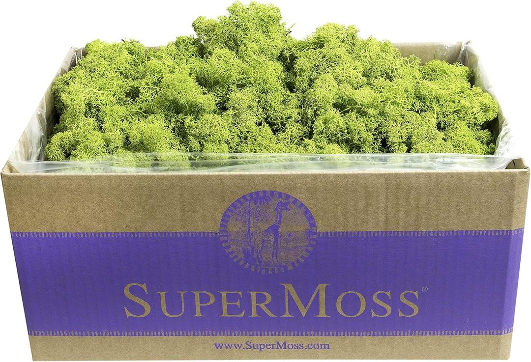 SuperMoss (21773) Reindeer Moss Preserved
