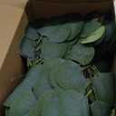 Taiyin Artificial Eucalyptus Leaves for Wedding Eucalyptus Leaves Stems Decor Greenery Faux Green Stems for Wedding Centerpiece Floral Home Decor, 11 Inches(120 Pieces)