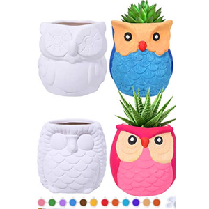 Winlyn 4 Sets DIY Ceramic Owl Succulent Pots Paint Craft Kit, Unpainted Ceramic Bisque Owl Flowerpots with Drainage Hole, Ready to Paint for Kids Classroom Craft Project Activity