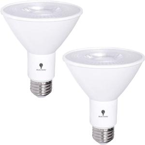 2 Pack PAR30 Outdoor LED Flood Light Bulb 12W 100 Watt Equivalent 900 Lumens Dimmable Waterproof E26 6000K Daylight LED Flood Light Bulbs for Security Spotlight Bulb Led Recessed Light Bulbs