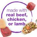 Purina Beneful Wet Dog Food Variety Pack, Chopped Blends - (12) 10 oz. Tubs (EXP 01/01/27)