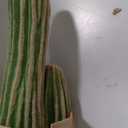 Artificial Cactus Fake Big Cactus 24 Inch Faux Cacti Plants for Home Garden Office Store Decoration