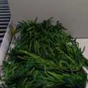 4 Pcs Artificial Norfolk Pine Garlands Christmas, 6 FT Dense Real Touch Winter Pine Garland Ornament, Green Artificial Greenery Garland for Table, Mantle, Wall, Indoor, Outdoor Christmas Decorations