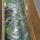 Artificial Palm Tree 5FT - Fake Tree with White Tall Planter - Faux Tropical Areca Floor Plant in Pot - Artificial Silk Plant for Home Office Living Room Decor Indoor