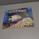 Angelfish Calendar 2026 Angel Fish Monthly Wall Calender 12 Month Tropical Fish Gifts | American Made In The USA
