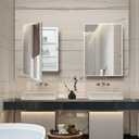 IDYLLOR Plastic Bathroom Medicine Mirror Cabinet 16 x 22 inch, Surface and Recessed Mount, Beveled Edge Mirror