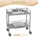 2 Pcs Stainless Steel Bus Tubs with Lid 13 L Commercial Tote Box 4" Deep Food Grade Meat Processing Tubs Lug Dishwashing Utility Prep Tub Table Pans, Silver (17.7 x 13.7 Inch)