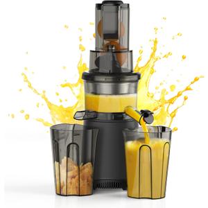 Slow Cold Press Juicer Machines: Masticating Cold Pressed Compact Juicer For Vegetable And Fruit Easy To Clean, Silver Grey