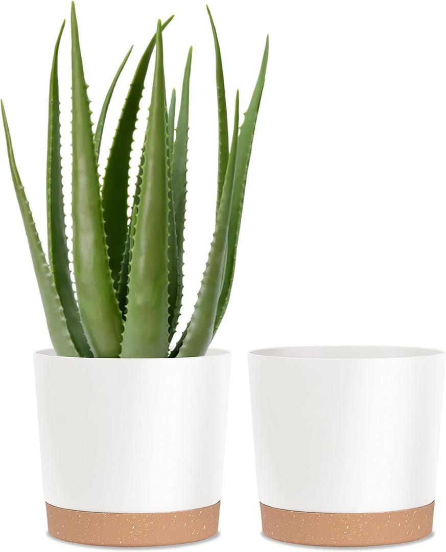 kubvici Plant Pots for Indoor Plants, 2 Pack 10 Inch Plant Pot Plastic Flower Pots Planters with Drainage Saucer for Indoor Outdoor Garden Home (10" White) kubvici Plant Pots for Indoor Plants, 2 Pack 10 Inch Plant Pot Plastic Flower Pots Planters with Drainage Saucer for Indoor Outdoor Garden Home (10" White)