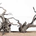 LANDEN Natural Spider Wood Aquarium Decorative Fish Tank Decorations, Driftwood Branches (12-16 Inch, XL) 4 Pcs