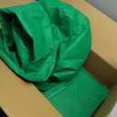 Plant Frost Protection Cover with Extra Straps, Zipper & Drawstring  31.5 x 47.2 Reusable Winter Freeze Protection Bag for Outdoor Trees & Garden Plants (Green, 4PACK)