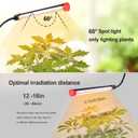 FRGROW 4Head Grow Light with Stand for Tall Indoor Plants, Bonsai Tree, Bright Full Spectrum Plant Growing Lamps, 4/8/12/16/20H Timer, 36 Watt Power Draw, NO Need Adapter, 360 Gooseneck