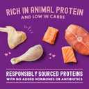 Stella & Chewy's Carnivore Cravings Wet Cat Food Pouches - Premium Chicken & Salmon Recipe - Grain-Free Morsels & Gravy - Perfect for Picky Eaters - Complete Meal or Topper - 2.8oz, 24-Pack