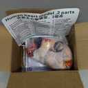 QWORK Life Size Human Heart Model, Anatomically Accurate 2-Part Model with Detachable Wall, Fixed with Hidden Magnets