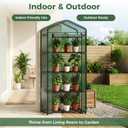NEWBULIG 27"x19"x63" Mini Greenhouse, with Durable Zipper Door 4 Tier | Small Greenhouse for Outdoors Indoor Balcony, Porch, Garden, Patio, Backyard Green houses, Green