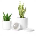 D'vine Dev White Terracotta Pots for Plants, 4.2 Inch 5.3 Inch 6.5 Inch, Succulent Planter Pot with Drainage and Saucer, 40-T-A-1, 3 Pots