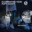 Super Bright LED Dog Collar - Fully Waterproof & Adjustable Glow Collar - USB-C Rechargeable for Night Walking, Safety - Flashing Lighted Collar for Dogs(White,L)