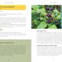 Pacific Harvest: A Northwest Coast Foraging Guide