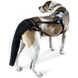 Tail Guard & Harness Set - Veterinary Dog Tail Protector & Injury Wrap, Size Bully-XL