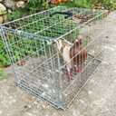 Animal Trap Cage Pigeon Chicken Squirrel Chipmunk Outside Trapping Live Small Animal Bird Trap Cage
