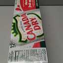 Canada Dry Zero Sugar Cherry Gingerale Fruit Splash 12oz, Pack of 12 (EXP 11/01/26)