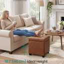 SONGMICS Square Storage Ottoman with Hinged Lid, 16.9 x 16.9 x 18.1 Inches