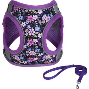 Step in Dog Harness No Pull Flower Adjustable Soft Mesh Padded Reflective Pet Vest Harness and Leash Set for Dogs, XXS