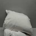 Goose Down Pillow, Hotel Quality with Feather Fill, 750 Fill Power Queen Size - 2 Pack with Pillowcase for Master Bedroom, Support for Back, Side, Stomach Sleepers