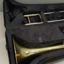 Bb Tenor Slide Trombone for Students Beginners, B Flat Brass Plated Trombone Instrument with Hard Case Mouthpiece White Gloves and Cleaning Kit (Gold)