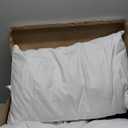 Feather Pillows Queen Size Set of 2 - Goose Down Hotel Bed Pillow for Sleeping, Soft 600 Thread Count Cotton Cover, Fluffy Support Surround Fill Polyester for Side, Back and Stomach Sleepers