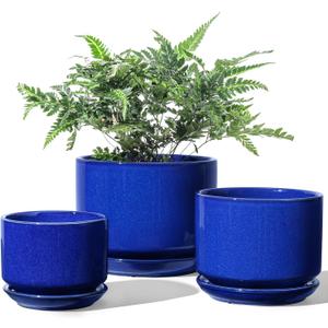 LE TAUCI Ceramic Plant Pots, 4.3+5.3+6.8 inch, Set of 3, Planters with Drainage Hole and Saucer, Indoor Flower Pot with Hole Mesh Pad, Gifts for Mom, Sapphire Blue