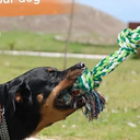 TLAZZ Dog Rope Toys for Medium Large Breed, Nearly Indestructible Dog Chew Toys for Aggressive Chewers, Teeth Cleaning Chew Toys, Dog Tug Toy for Boredom, Dog Rope Toy for Aggressive Chewers