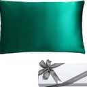 spencer & whitney Silk Pillowcase for Hair and Skin Health with Hidden Zipper 100% Mulberry Silk Bed Pillowcase Both Side 22 Momme Silk(Green)