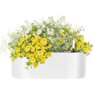 SAROSORA 16" Oval Self Watering Planter with Water Level Indicators for Plants & Flower Home Garden Outdoor Indoor Succulent | Herb pots | Window Box (1, Oval, White)