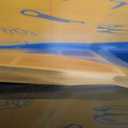 Insect Xrays  Bug Science Kit - Bug Detectives for Kids, Light Table Accessories, STEM Learning Insect X-Ray Set