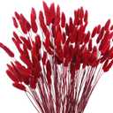 CISDUEO 120pcs Dried Bunny Tails Flowers Red Lagurus Ovatus Tail Dried Flowers Pampas Grass Natural Dried Floral Arrangement for Boho Decor Home Wedding DIY Farmhouse Table Christmas Halloween (17")