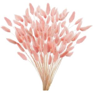 Uieke 17 Natural Bunny Tails Dried Flowers, 240 Pcs Dried Lagurus Ovatus, Dried Pink Pampas Grass Decor for Farmhouse Flower Arrangements Wedding Home Party Decorations