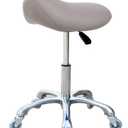 Professional Saddle Stool with Wheels Ergonomic Swivel Rolling Height Adjustable for Clinic Dentist Beauty Salon Tattoo Home Office (Grey)