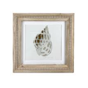 Sea Shell New View Coastal Wall Art featuring a seashell print in a wooden frame.