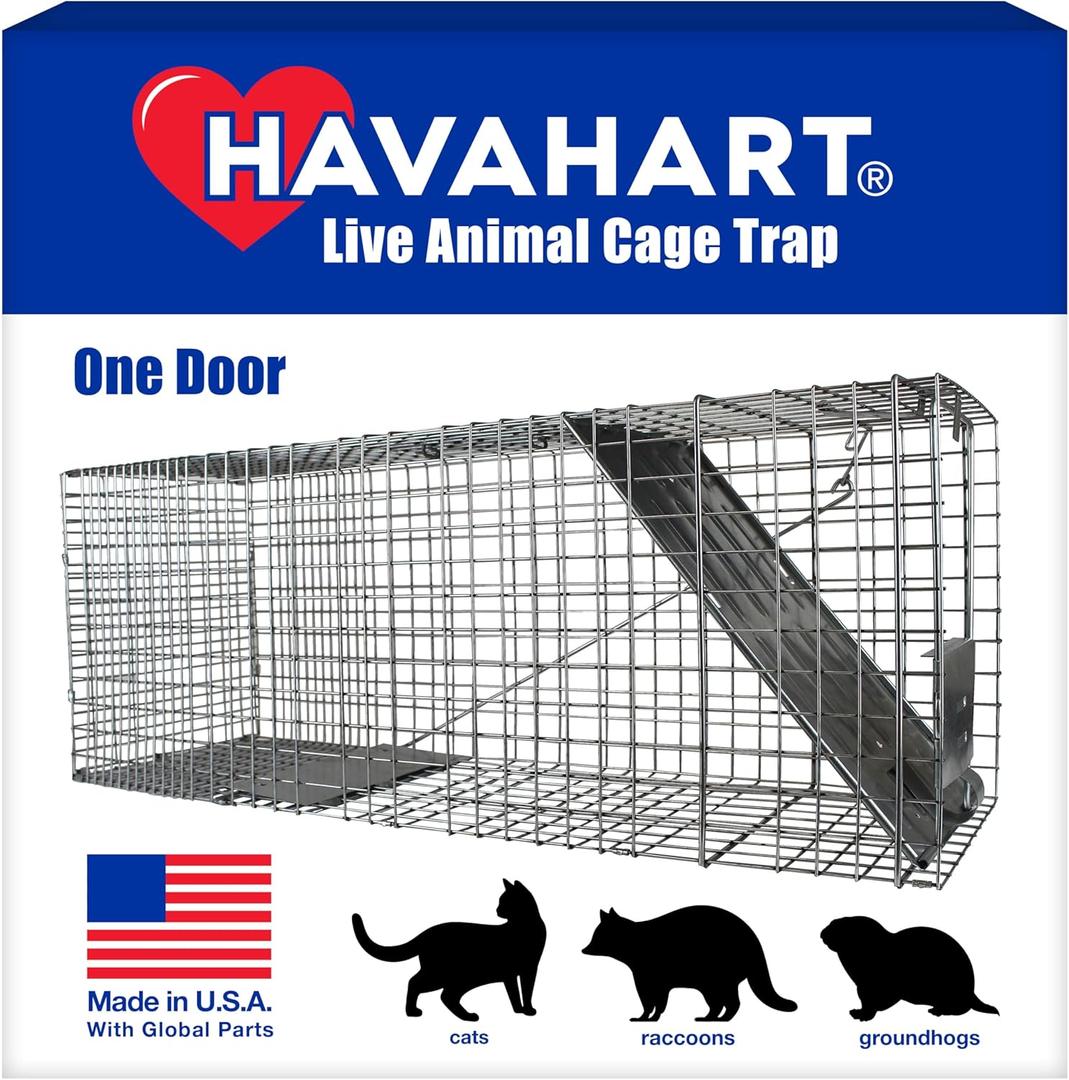 HAVAHART 1079SR Large 1-Door Humane Catch and Release Live Animal Trap Cage - Live Raccoon Trap, for Bobcats, Beavers, Dogs, & More 32.29"L x 13.1"W x 11.1"H
