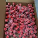 OJYUDD 30 Pack Snow Frosted Artificial Red Berry Stems,8.9" Holly Frosted Berry Branch Picks,Sprays Snowy Fake Red Berries for Christmas Tree,Valentine DIY Crafts,Winter Wedding Home Party Decor