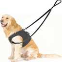Two Point Control Dog Leash,No Tangle Dog Training Leashes,4ft Black Dog Leash Converts to Single Training Leashes for Medium Large Dogs