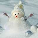 Christmas Snowman Hand - 100Pcs Plastic Twig Accessories for DIY Crafts Cute Decorative Branches for Holiday Home Decor