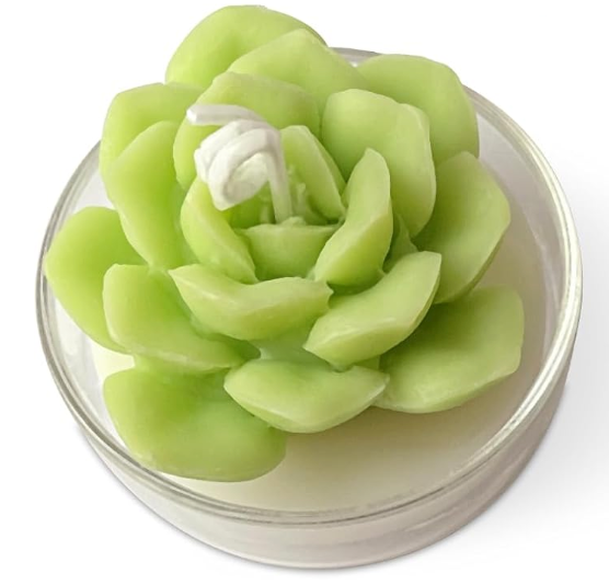 Realistic Succulent and Flower Candle Set in Glass Holder,  Soy Wax Candle with Strong Scent for Home Fragrance, Decor and Gifting
