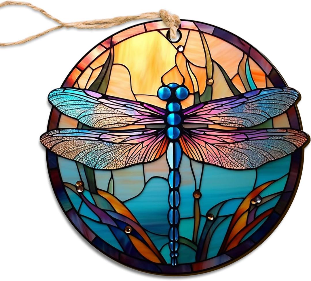 10 x Dragonfly Ornaments, 2D Flat Printed Christmas Ornaments Dragonfly Decor for Home, Dragonfly Christmas Tree Ornaments, Round Dragonfly Ornaments for Dragonfly Lover 3.5 Inches