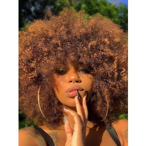GKtineke Afro Wig 14Inch Afro Wigs for Black Women 70s Mixed Brown Afro Kinky Curly Wig Bouncy Huge Fluffy Puff Wigs Synthetic Hair for Cosplay Daily and Party (Mixed Brown)