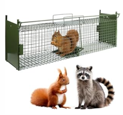 40 Inch 2Door Humane Live Animal Trap Cage  Humane Catch and Release Traps for Stray Cats, Raccoons, Skunks, Squirrels, Groundhogs  Extra Large Outdoor Steel Trap