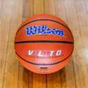 Wilson Evolution Basketballs, Size 7 - 29.5"