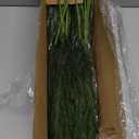24 Pcs Realistic Christmas Greenery Stems, Natural Droopy Pine Branches,Soft Bendable Artificial Pine Branches, Lifelike Pine Stems for Vases, Wreaths,Garland Christmas Decorations,Thanksgiving Decor
