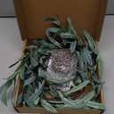 LITBLOOM Lighted Olive Garland Battery Operated with Timer 96 Fairy Lights 6FT, Artificial Greenery Twig Vine Lights for Christmas Spring Fireplace Mantle Decoration Indoor Outdoor